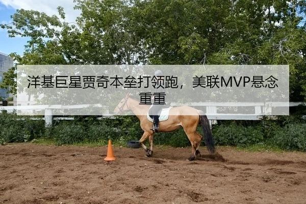 洋基巨星贾奇本垒打领跑，美联MVP悬念重重